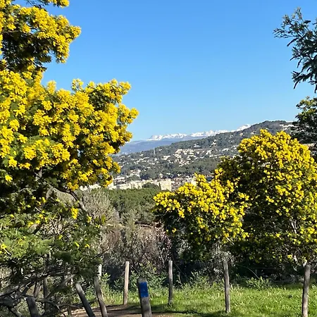 La Perle De La Bocca